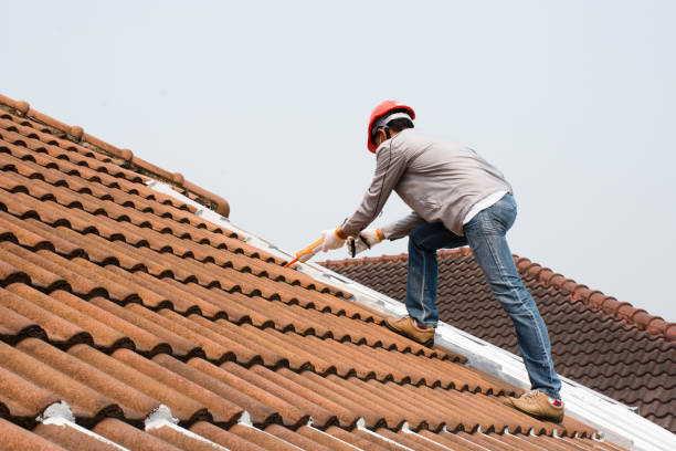 Best Steel Roofing  in Denison, IA